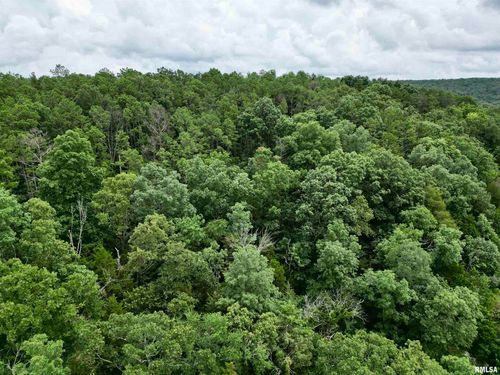 000 Stoneface Ln, Herod, IL, 62947 | Card Image