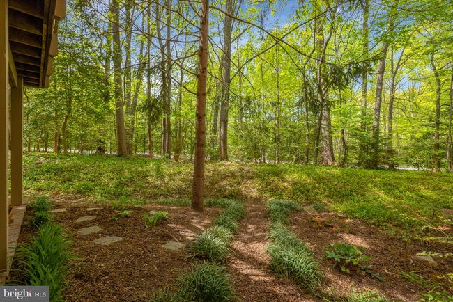 11431 Hollow Timber Way, Townhouse with 3 bedrooms, 4 bathrooms and null parking in Reston VA | Image 50