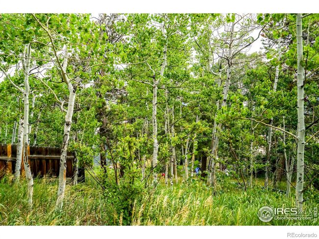 255 S Jackson St, House other with 1 bedrooms, 1 bathrooms and 1 parking in Nederland CO | Image 15