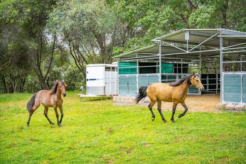 10 Acres Hollow Lane, Greenwood, CA, 95635 | Card Image