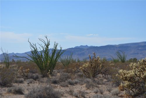 7 Castle Butte Rd, Yucca, AZ, 86438 | Card Image