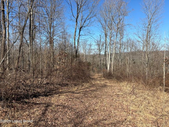 2701 Hardesty Raymond Rd, Home with 0 bedrooms, 0 bathrooms and null parking in Webster KY | Image 17