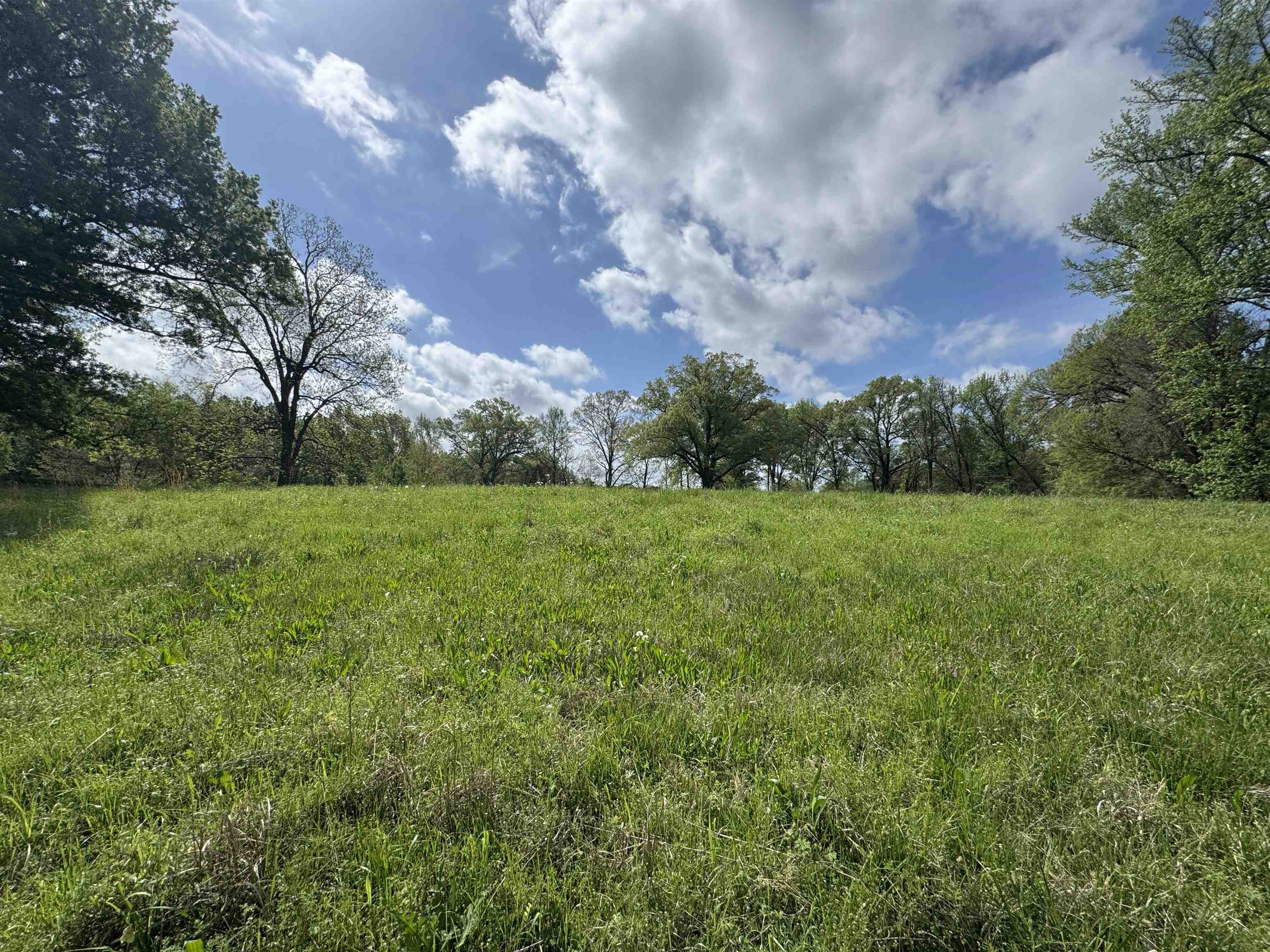 Land in Memphis 2
