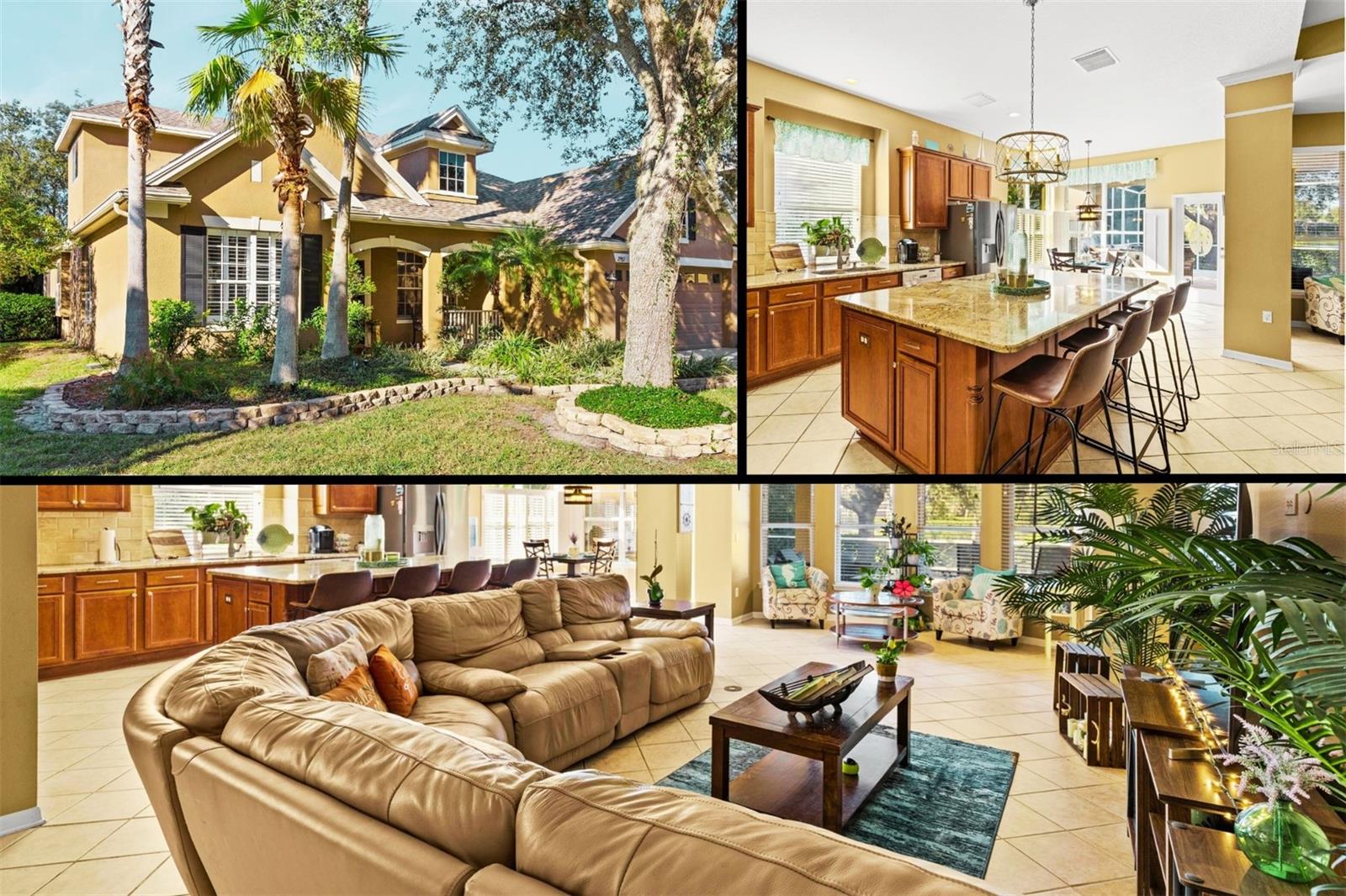 Northfield Dr, Tarpon Springs, FL 34688