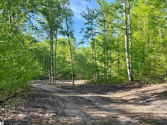 B11 E Solaris Way, Home with 0 bedrooms, 0 bathrooms and null parking in Maple City MI | Image 5