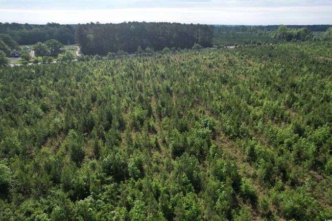 20 Highway 260, Home with 0 bedrooms, 0 bathrooms and null parking in Manning SC | Image 5