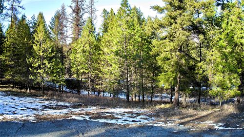 2517 Mossy Rock Court, Thompson Falls, MT, 59873 | Card Image