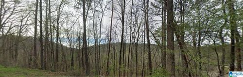 00000-0000 Red Valley Rd, REMLAP, AL, 35133 | Card Image