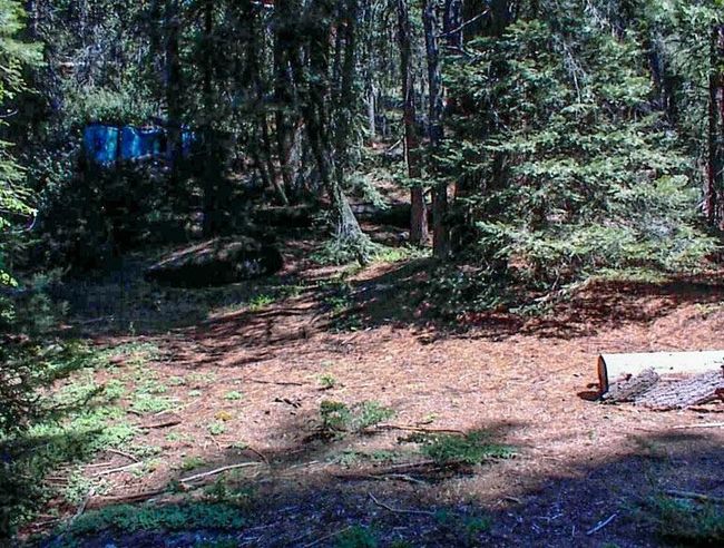 50248 E Kings Canyon Rd, House other with 5 bedrooms, 0 bathrooms and null parking in Dunlap CA | Image 33