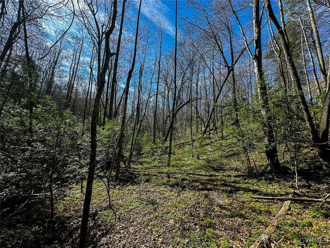 41.18 Acres (Off Of) Pole Bridge Rd, Home with 0 bedrooms, 0 bathrooms and null parking in Stuart VA | Image 22