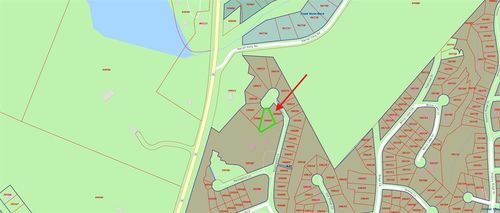 TBD Silver Hickory Dr, Coldspring, TX, 77331 | Card Image