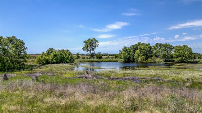 Pond view | Image 5