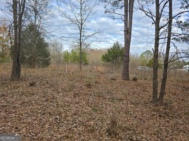 0 Willow St, Home with 0 bedrooms, 0 bathrooms and null parking in Stephens GA | Image 17