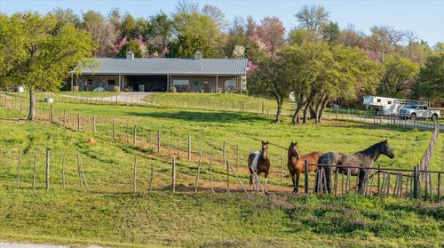 920 Horsemans Dr, Stephenville, TX, 76401-7731 | Card Image