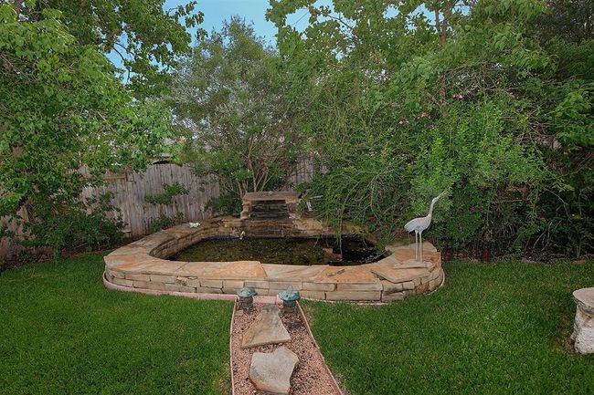 Koi pond | Image 28