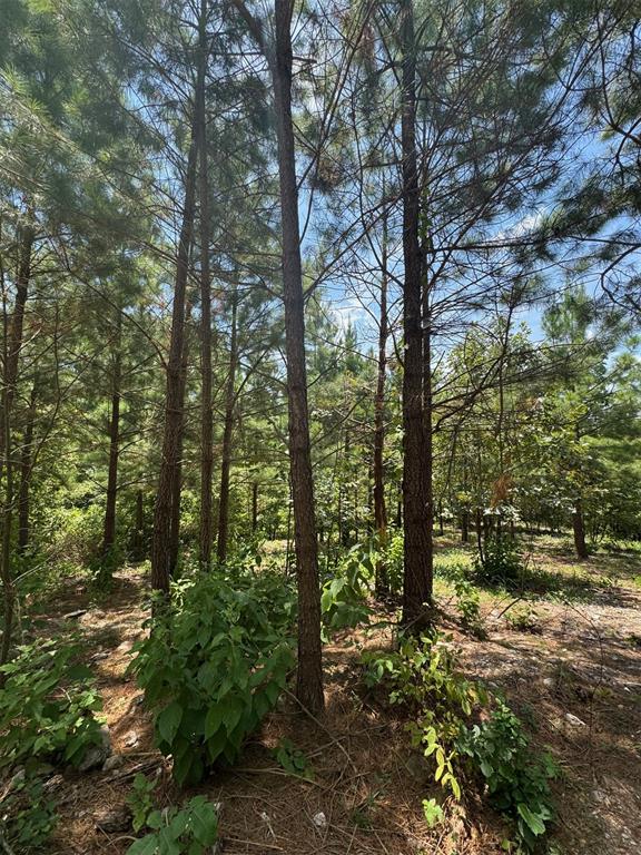 Land in Broken Bow 4