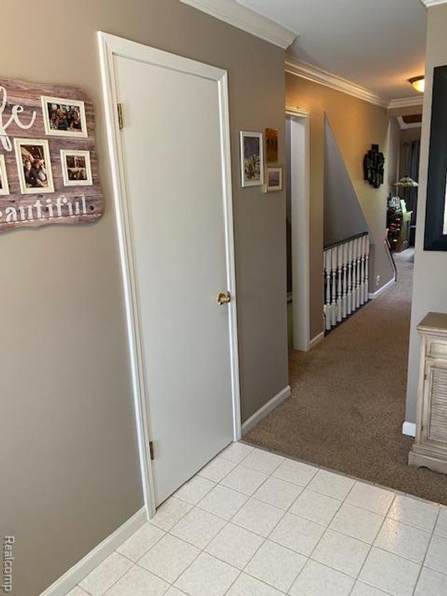 IMG_3749.jpg | Image 14