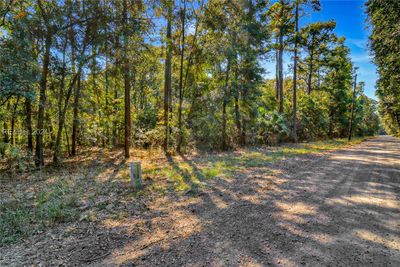 168 School Road, Home with 0 bedrooms, 0 bathrooms and null parking in Daufuskie Island SC | Image 2