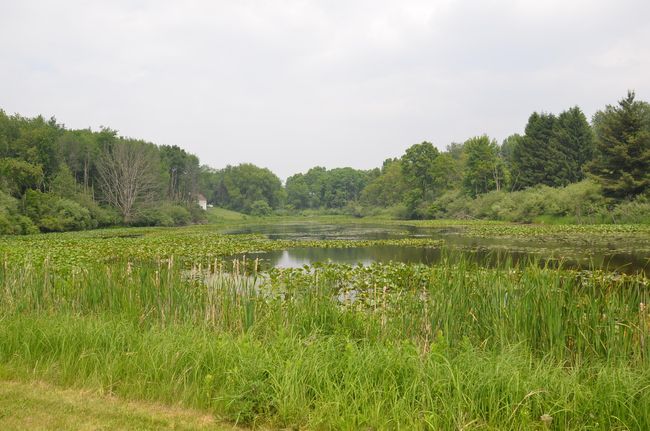 4500 S 42 Nd St, Home with 0 bedrooms, 0 bathrooms and null parking in Climax MI | Image 54