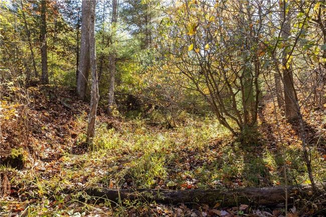 0 Laurel Creek Rd Ne, Home with 0 bedrooms, 0 bathrooms and null parking in Pilot VA | Image 19
