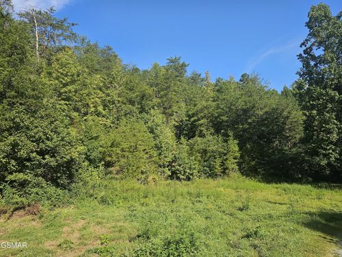 3 Franklin Way, Sevierville, TN, 37862 | Card Image