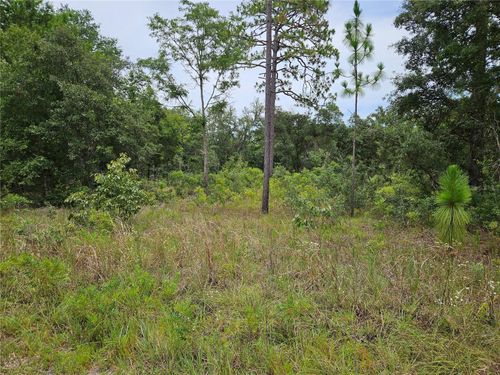 919 Ne 148th Ct, WILLISTON, FL, 32696 | Card Image