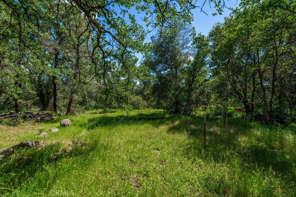 Land in Oroville 2