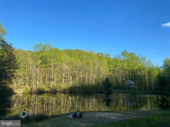0 Revenooer Rd, Home with 0 bedrooms, 0 bathrooms and null parking in MADISON VA | Image 12