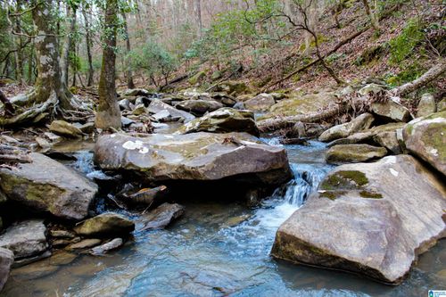 00-00 N Country Dr, Northport, AL, 35475 | Card Image