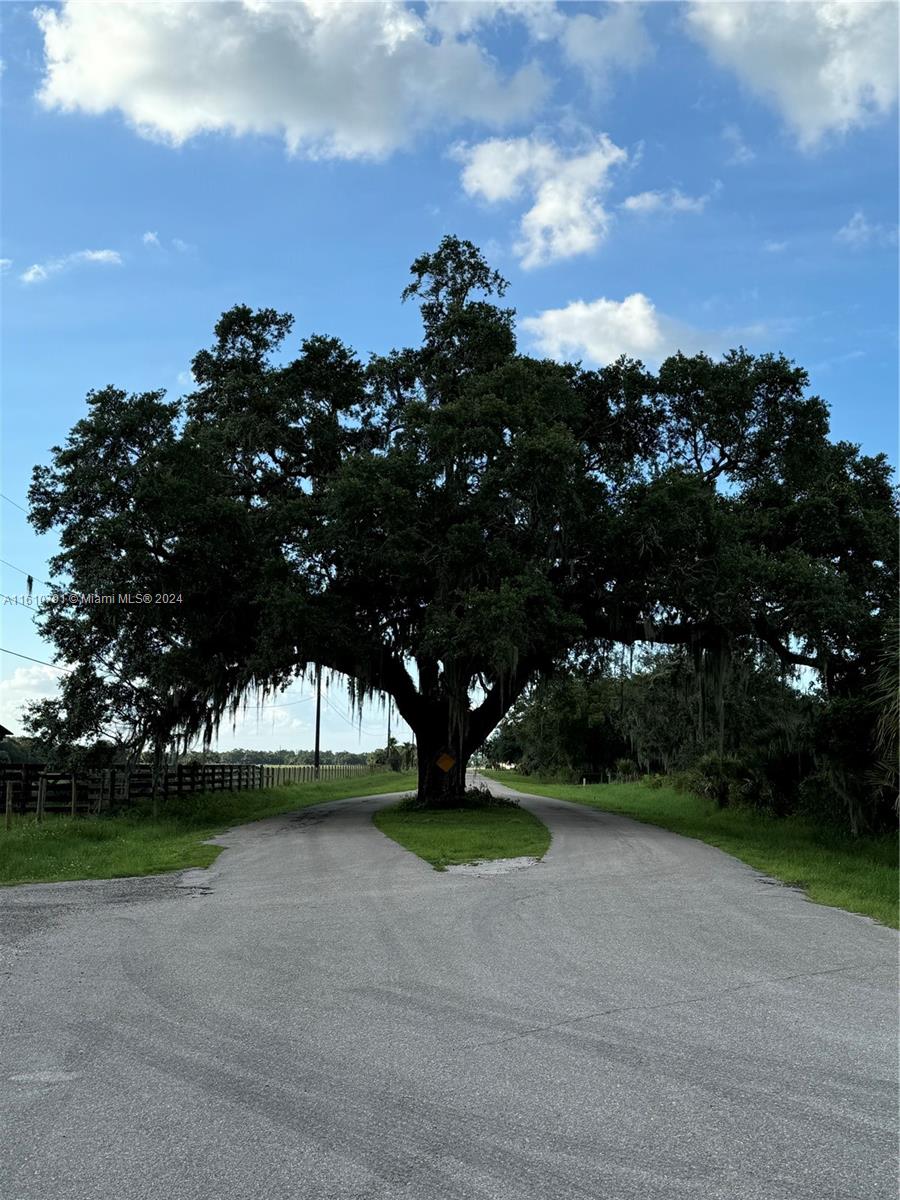 Coffee Mill Hammock Rd, Moore Haven, FL 33471