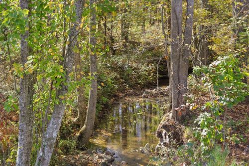 Lot 334 Twisted Oak Rd, Talking Rock, GA, 30175 | Card Image