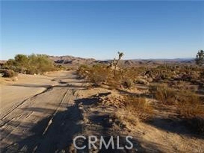 7275 Saddleback Rd, Home with 0 bedrooms, 0 bathrooms and null parking in Joshua Tree CA | Image 9