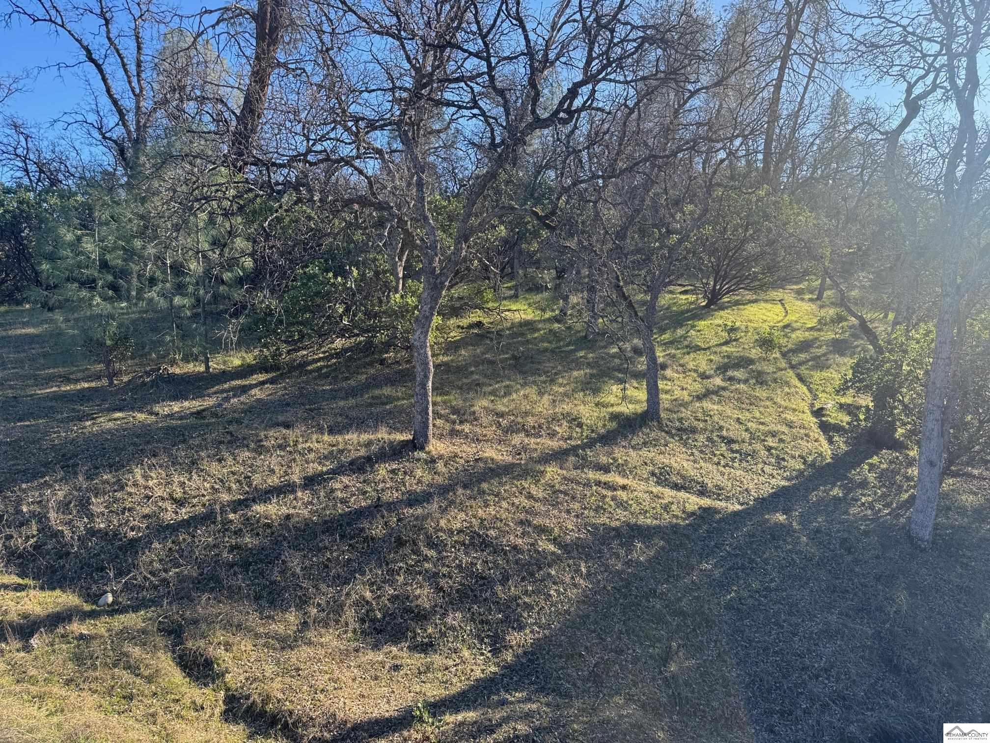 Land in Corning