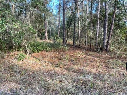 417 Incline Rd, Satsuma, FL, 32189 | Card Image