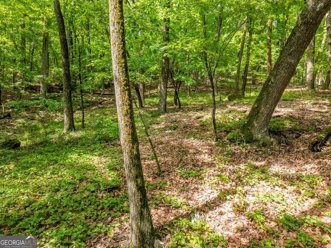 3.65AC Emory Stephens Rd, Home with 0 bedrooms, 0 bathrooms and null parking in Murrayville GA | Image 11