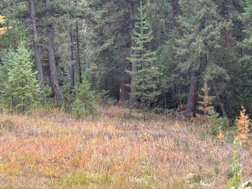 NHN Glen Lake Rd, Eureka, MT, 59917 | Card Image