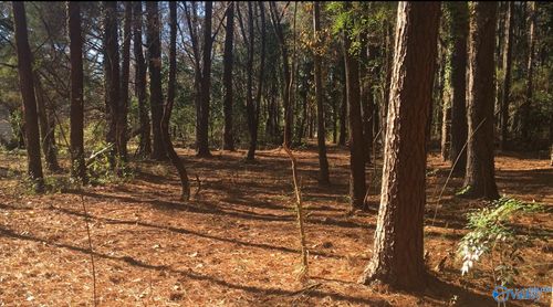 2.4 ACRES 4th Ave Nw, Huntsville, AL, 35805 | Card Image