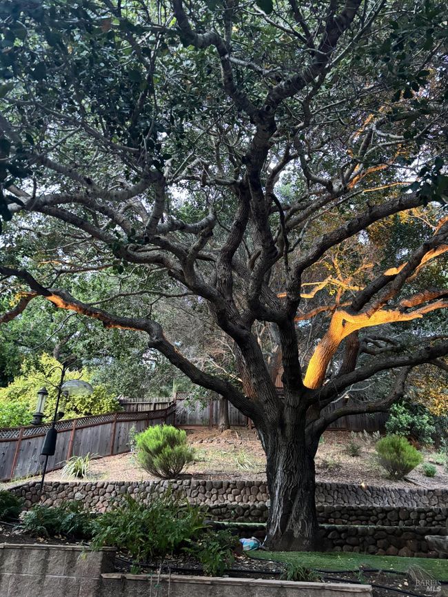 1314 Grand Ave, House other with 3 bedrooms, 2 bathrooms and 4 parking in San Rafael CA | Image 5