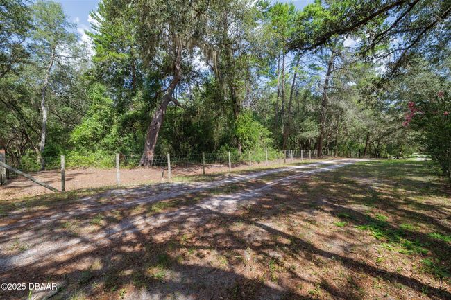 111 Penny Acres Ln, House other with 3 bedrooms, 2 bathrooms and null parking in Welaka FL | Image 37