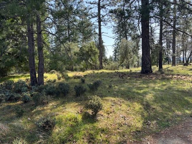 19292 Shawnee Trl, Home with 0 bedrooms, 0 bathrooms and null parking in Mokelumne Hill CA | Image 9