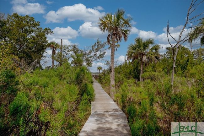 Pathway to the floating dock | Image 31