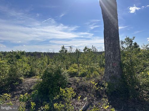 0 Mount Holly Rd, Montross, VA, 22520 | Card Image