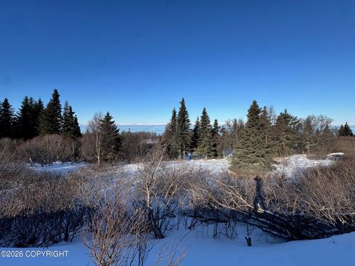 L5 Mead Ct, Clam Gulch, AK, 99568 | Card Image