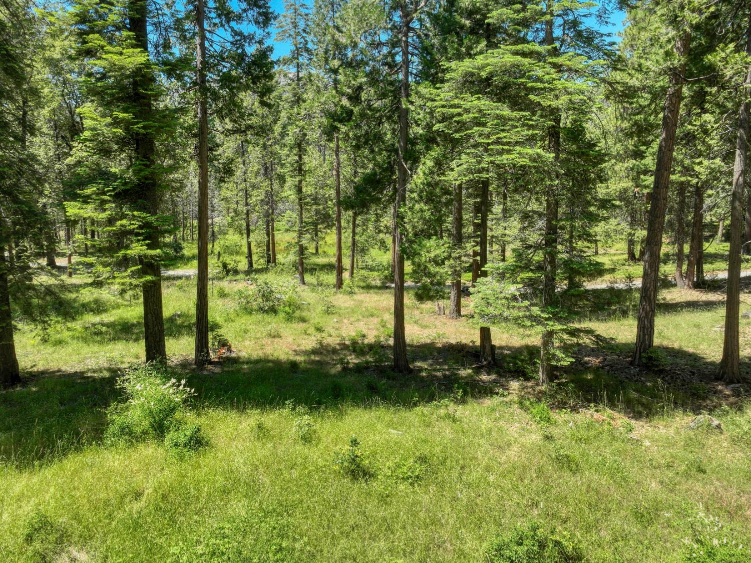 Land in Shaver Lake 3