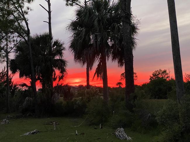 Lot #21 Watson Cir, Home with 0 bedrooms, 0 bathrooms and null parking in CEDAR KEY FL | Image 9