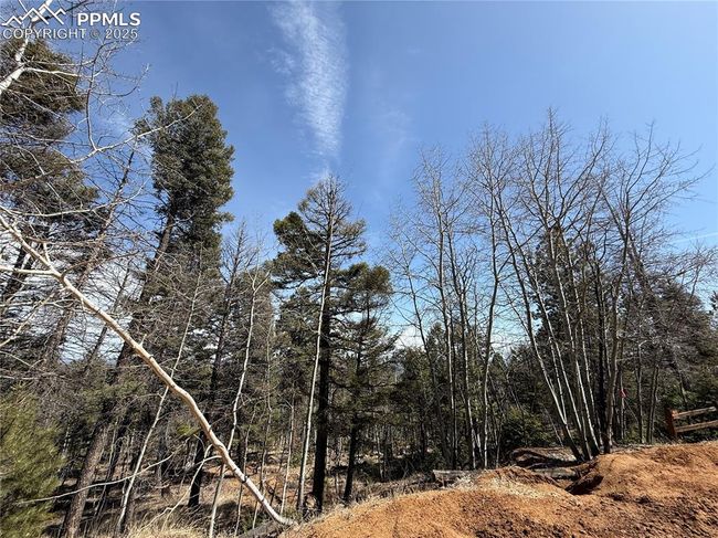 242 Apache Creek Dr, Home with 0 bedrooms, 0 bathrooms and null parking in FLORISSANT CO | Image 5