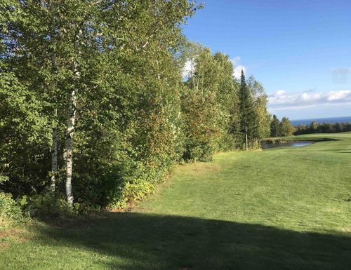 XXX Big Cedar Trl, Lutsen, MN, 55612 | Card Image