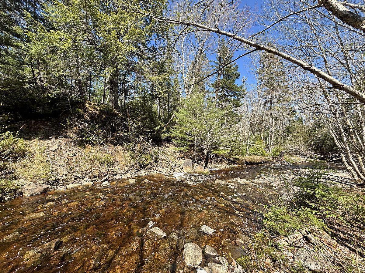 Land in West Side Country Harbour 5