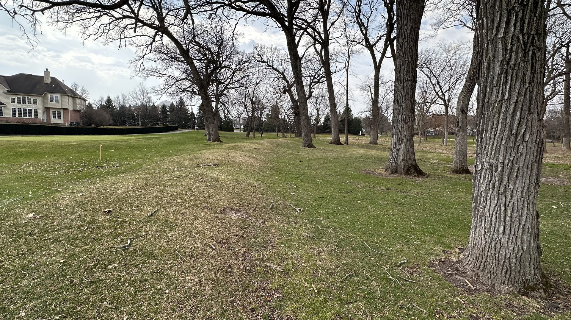 Land in Wayne 3