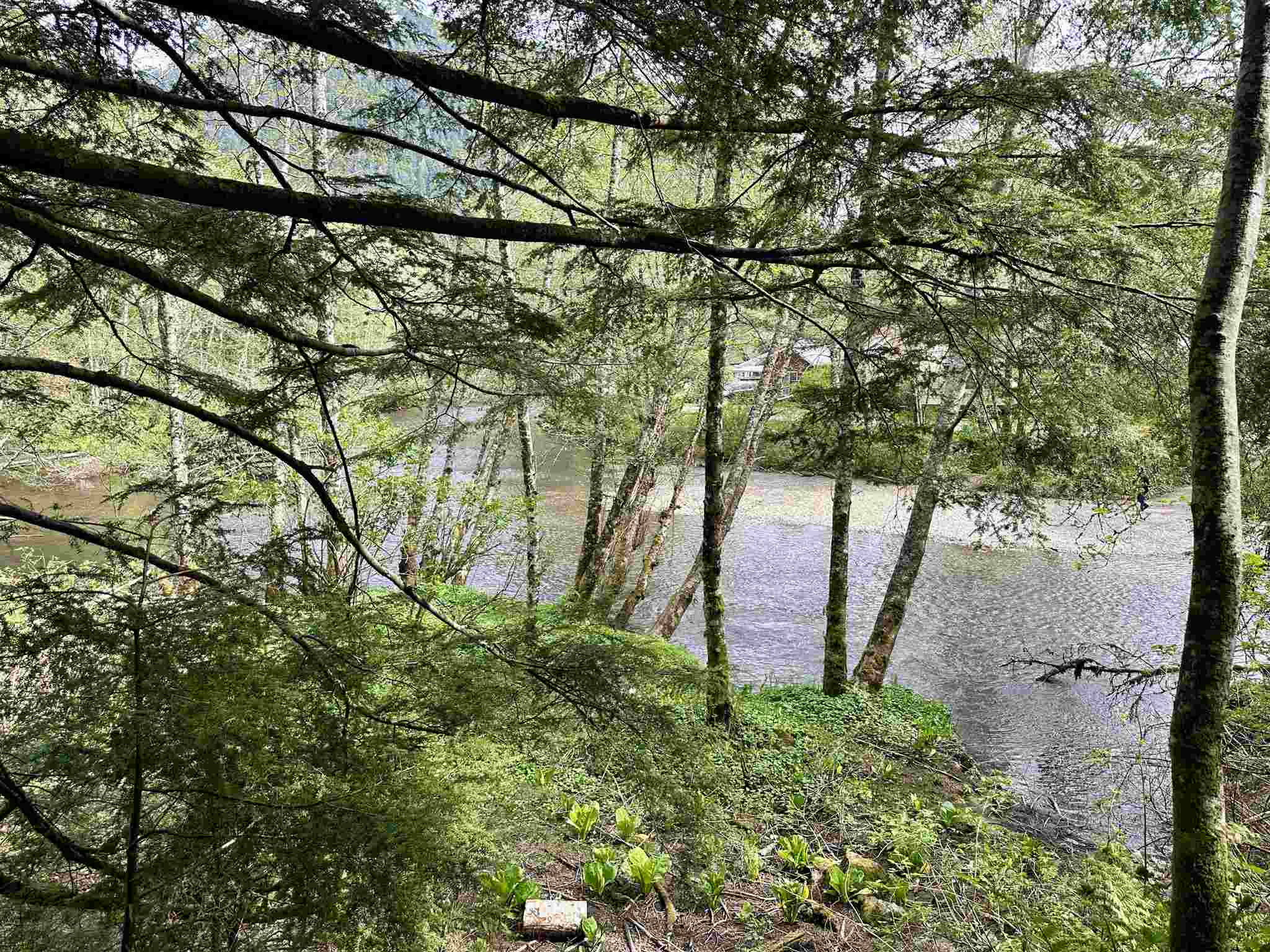 Land in Ketchikan 3